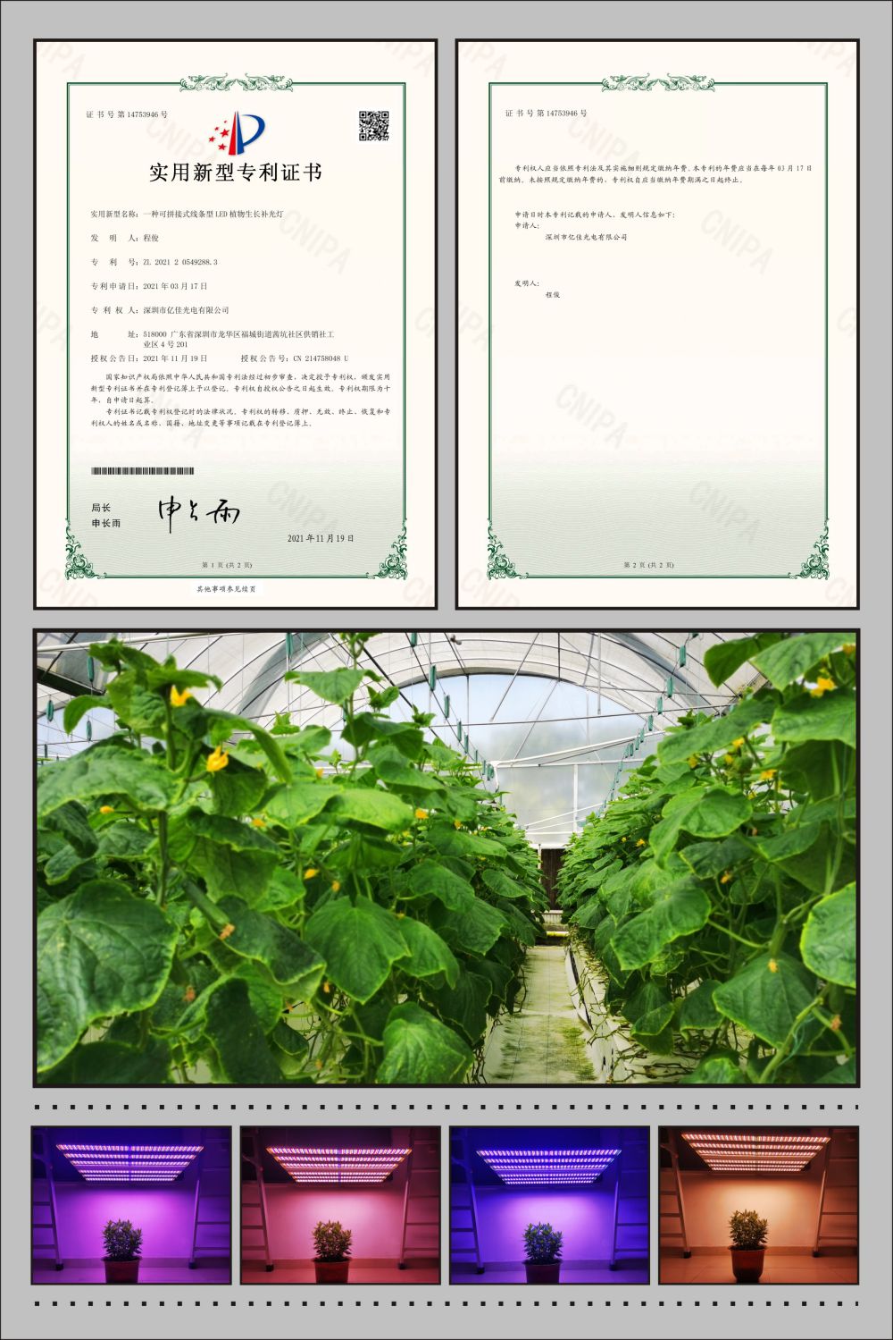 J9集团植物农场灯实用新型专利